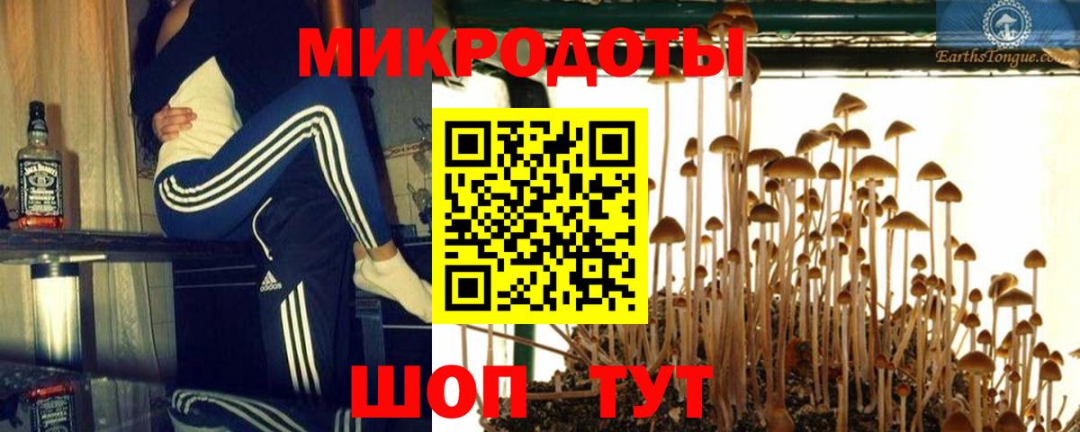 Зеленокумск  Псилоцибиновые грибы Psilocybine cubensis  Галлюциногенные грибы Cubensis  Вход с VPN 